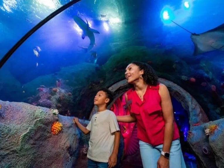 SEA LIFE centre new for 2025!