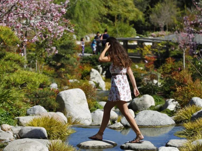 Go City: San Diego All-Inclusive Pass