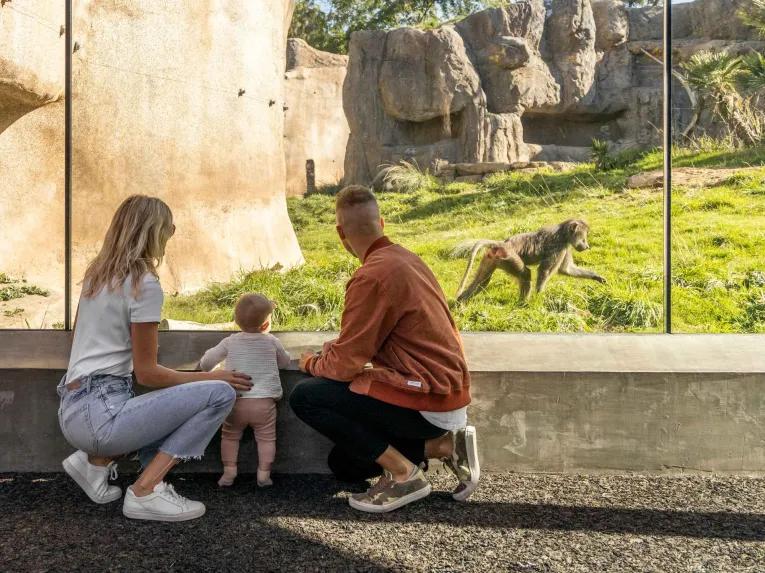 Go City: San Diego Essentials