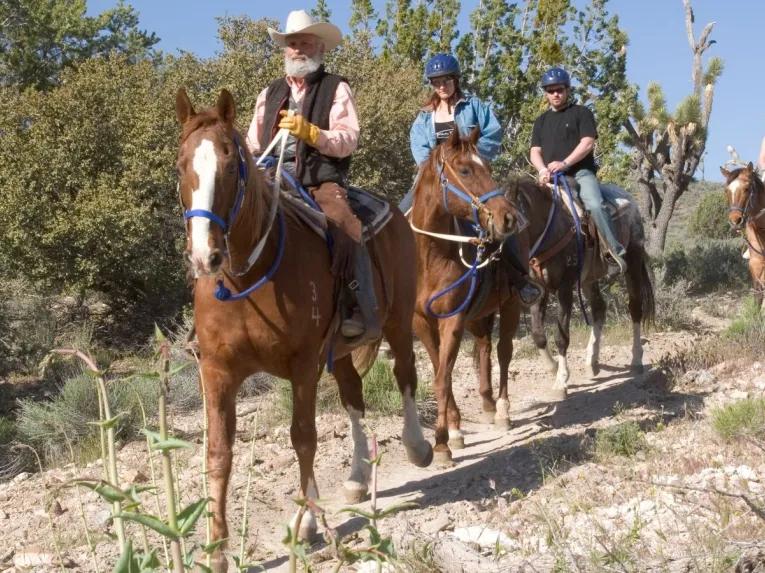 Grand Canyon Western Ranch by Luxury Bus & Helicopter Tour