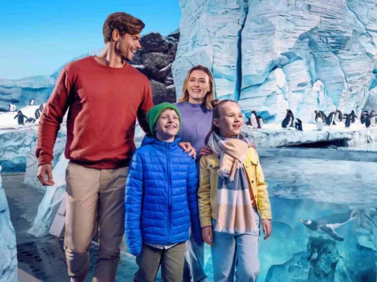 Smiling family seeing penguins at SeaWorld Yas Island Abu Dhabi