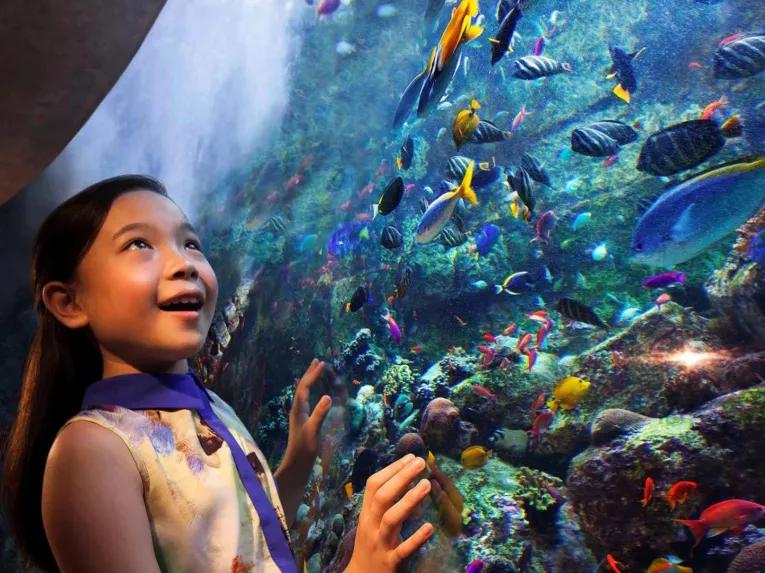 Go City: Dubai Highlights Pass