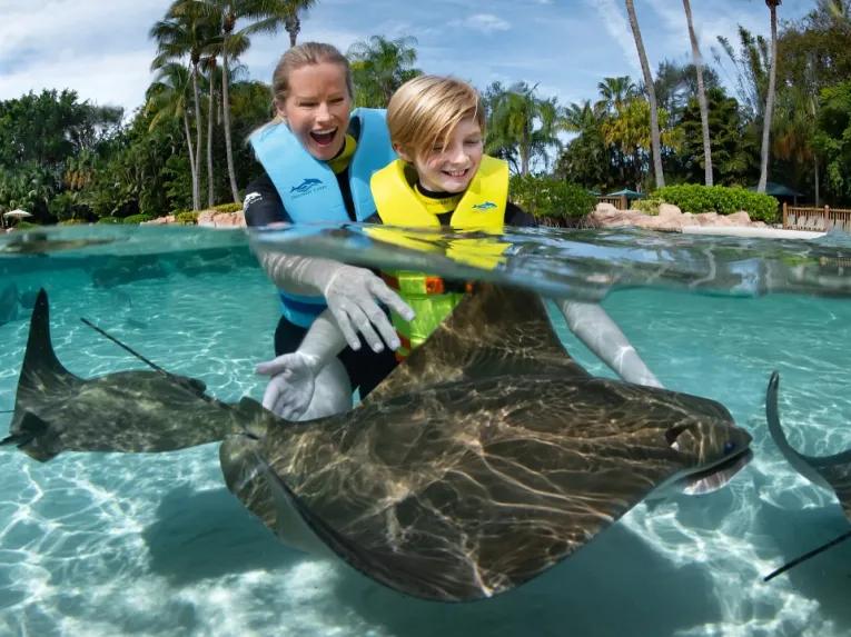 Guests with sting rays at Discovery Cove