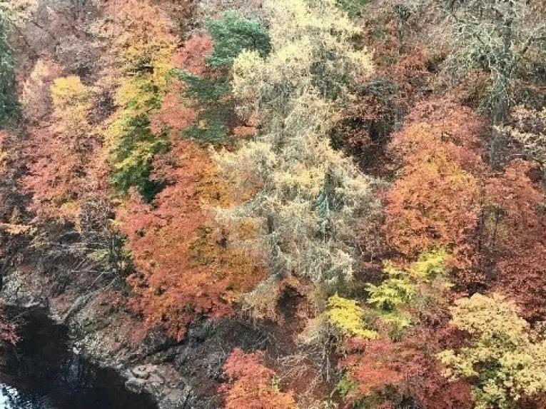 Loch Ness, Glencoe & Highlands Tour