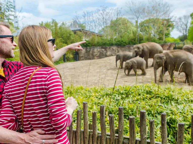 Go City Dublin Essentials Pass
