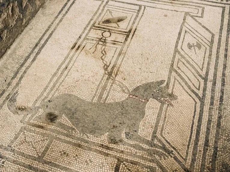 Pompeii Express Tour with Skip-the-Line & Archaeologist Guide