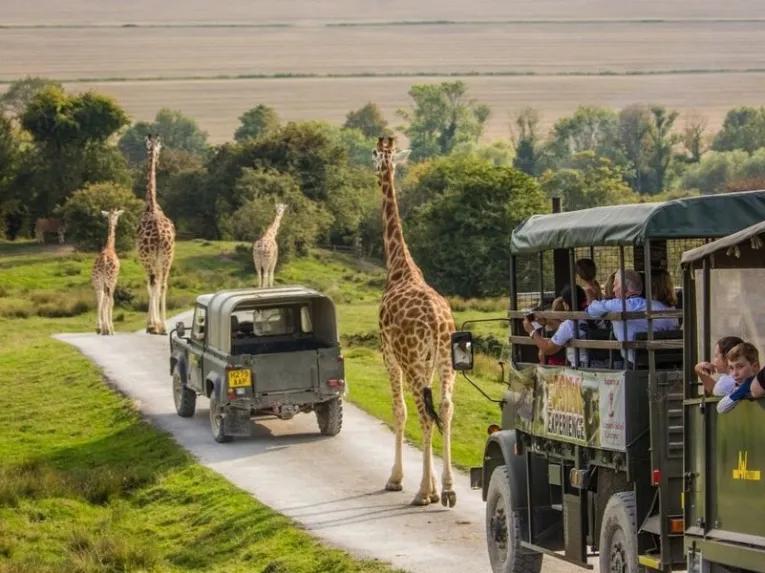 Port Lympne Reserve Visit and Sunday Roast for Two