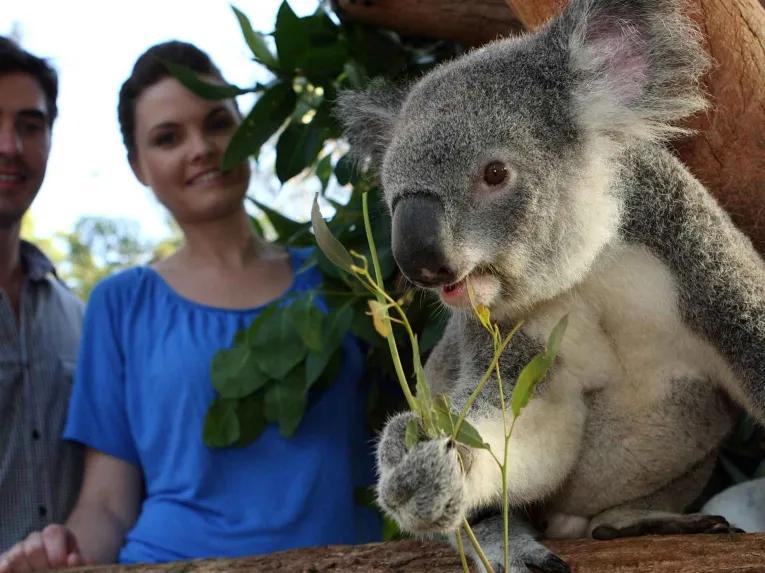 Go City Sydney All-Inclusive Pass