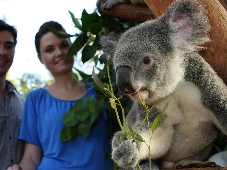 Go City: Sydney Explorer Pass