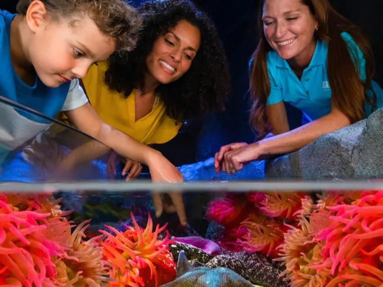 Guests at SEA LIFE Orlando