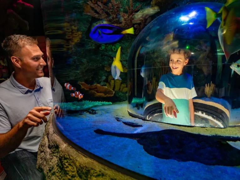 Guests at SEA LIFE Orlando