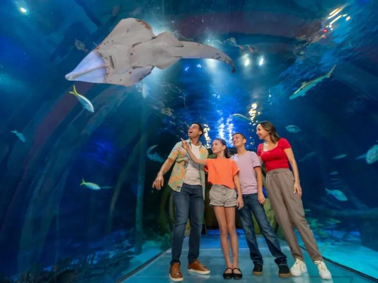 Guests at SEA LIFE Orlando