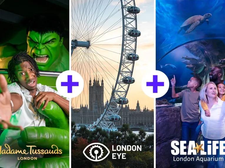 Madame T London Eye Sea Life